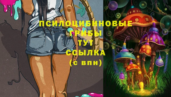 дживик Алексин