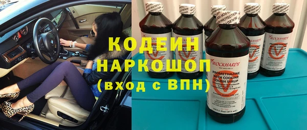 сатива Арсеньев