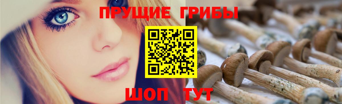 Светлоград  Галлюциногенные грибы мухоморы  Вход с VPN 