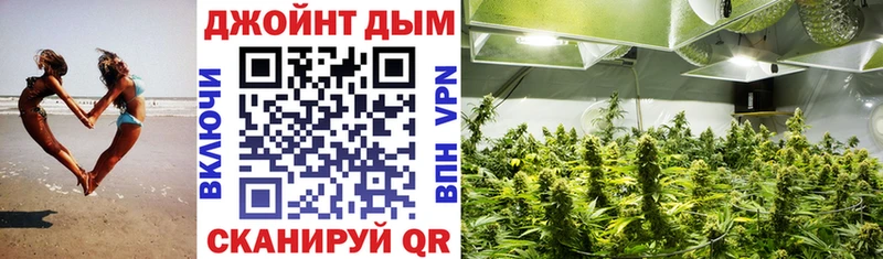 ссылка на мегу рабочий сайт  Светлоград  Марихуана индика 